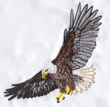 Superb Digitizing Sample