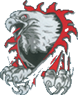 Embroidery Digitizing